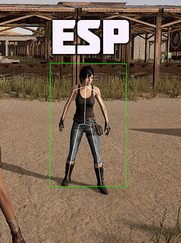 Приватный чит PUBG